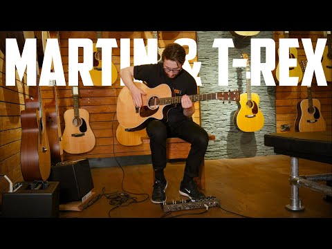 T-Rex Soulmate Looper & Martin Acoustic | The Best Compact Live Acoustic Rig?