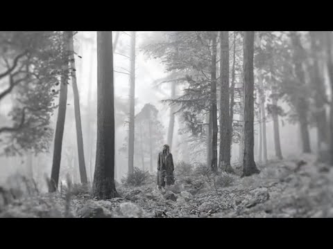 Taylor Swift - the 1 (acoustic / Visualizer)