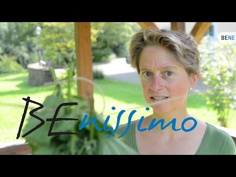 Benissimo: Brennnesselsamen trocknen und verarbeiten