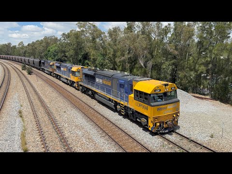 Pacific National’s LDP004, TT08 & LDP002 cross SCT’s CSR019 & SCT005 at East Maitland - 31/10/25