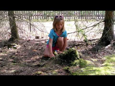 Wir gestalten unsere eigene Eichhörnchenwelt - Teil 4