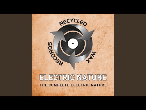 The Electric Nature (DJ Looney Tunes Remix)