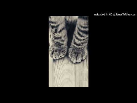 Dj Shabayoff feat. Magix Music Maker - Dance Floor