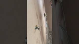 Video after kitchen skim