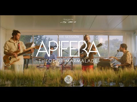 Apifera - Theodor Marmalade: Live Session