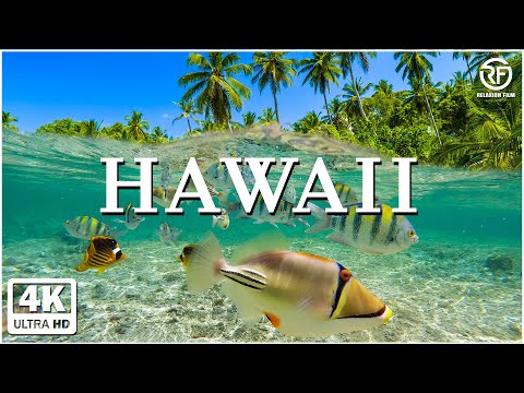 Hawaii 4K 🌿 Scenic Relaxation Film With Calming Music 🌿 4K Video Ultra HD