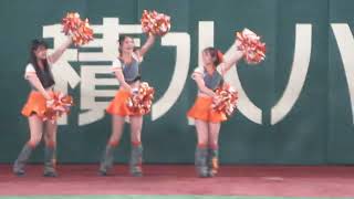 VENUS & diana  「巨人&横浜DeNA：チアリーダー」