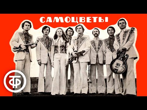 ВИА "Самоцветы". Сборник избранных песен