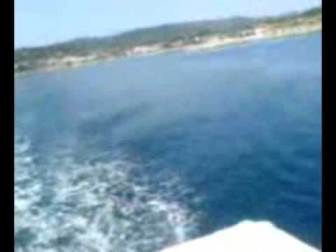 CESTOU NECESTOU 2006-2008