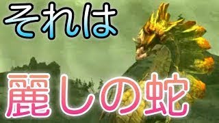 #22【MHXX/HD】強い弱いより、戦ってて楽しいかって凄く大事だと思うんです。【ダブルクロス】