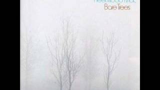 Fleetwood Mac - Child of Mine.wmv