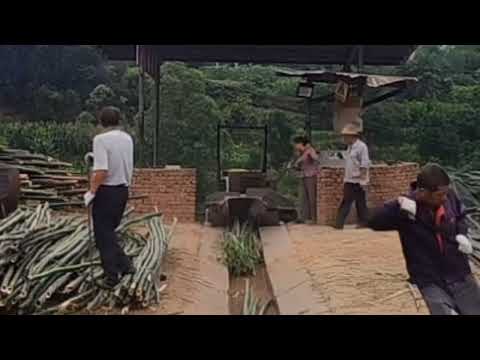 Steel VS Bamboo Watch This Mega Machine Turn Hard Logs Into Paper Material