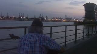Searching for a Heart ~ Warren Zevon ~ Cover w/ HB Delta Blues ~ Outdoor @ Elbe River Hamburg Altona