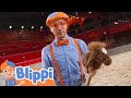 Blippi Learns At A Castle Learning Videos For Kids Education Show For Toddlers