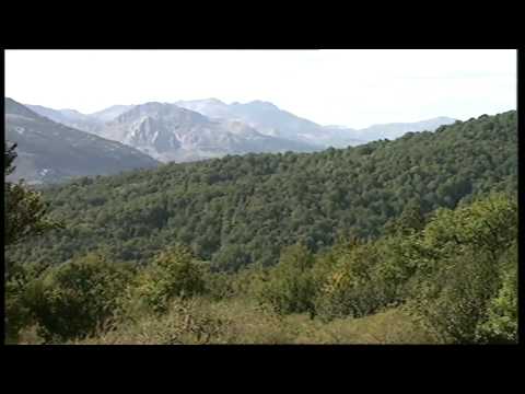 Audiovisual de Valdeburón (Lario)