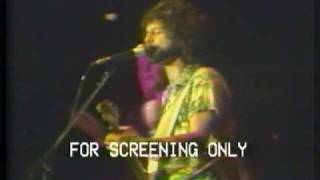 Fleetwood Mac ~ World Turning ~ Japan Live 1977