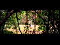 The Haunting In Connecticut 2 Trailer