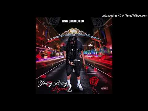 Baby Shannon Bo - Careybrook