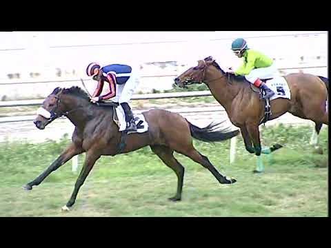 Napoli Galoppo 22/12/2022 - 1ª corsa