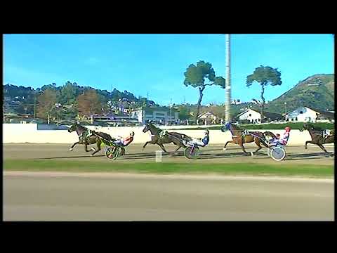 Napoli Trotto 31/12/2021 - 5ª corsa