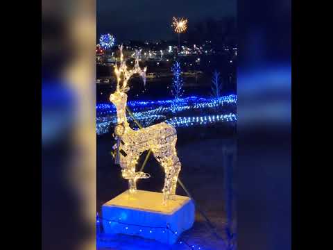 how can led illumination light entertain this holiday season