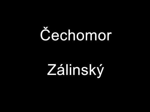 Čechomor Zálinský + V8 happiness