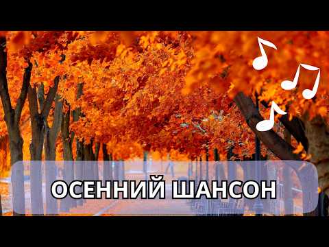 Осенние хиты шансона 2025, музыка для души
