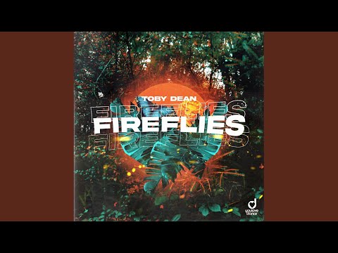 Fireflies (Extended Mix)