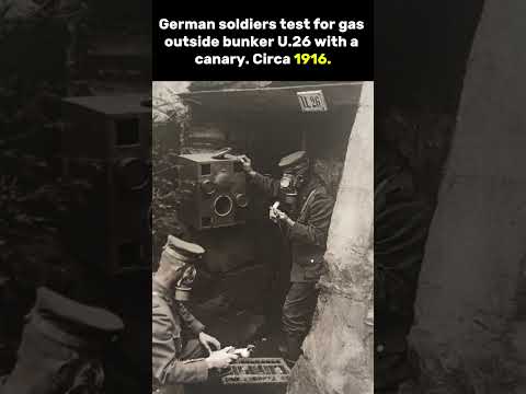 WWI Gas Detection &ndash; German Soldiers with Canary Outside Bunker U.26 (1916)