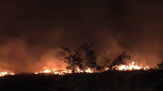 fiamme-a-casone-l-aib-evita-il-peggio