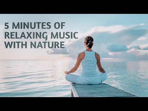 Relaxing Music | FEEL THE VIBE | Meditation | Nature music