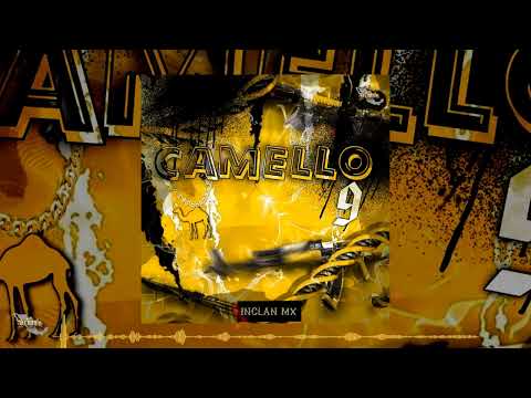 Hijos Del Golfo - Camello 9 🐫