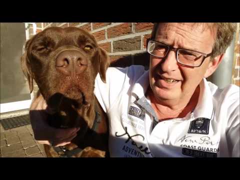 2016 10 20 Video I Noris