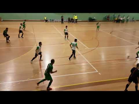 Primeira Divisão Distrital Futsal 🏆 | AF Porto 🚩