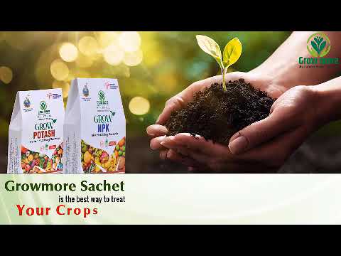 Powder white organic nitrogen fertilizer, box