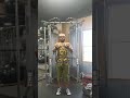 chest fly inner lower pec