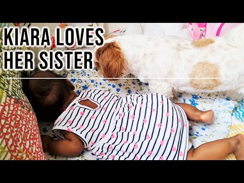 My Puppy Loves babies | Make your pet part of your social life and gatherings Video
