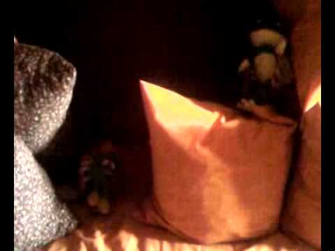 Cafon Street - Parodia 1