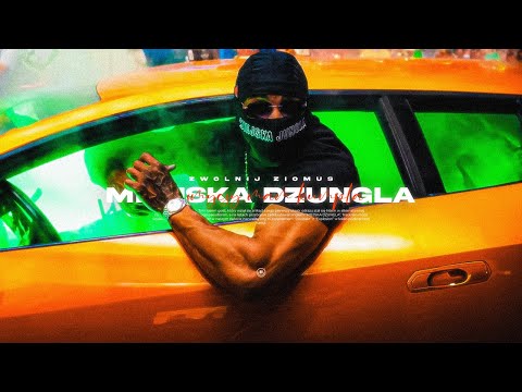ALBERTO - MIEJSKA DŻUNGLA VIXA (feat. @matiosky_prod, @jebejsie)