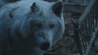 Game of Thrones S08E04: An Unbridled Rage thumbnail