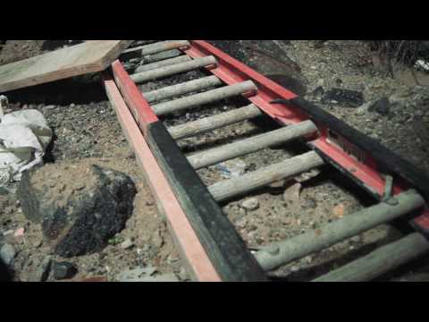 Paparattzi Pop--No shit