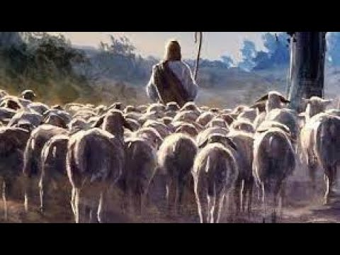 Biserica BETELOradea-Ioan Joldeș predică- Iisus- Păstorul cel Bun