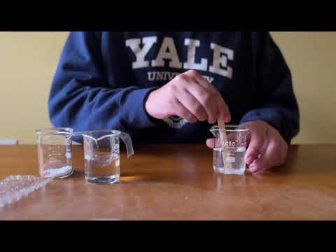 October '23 Experiment : Electrophysiology