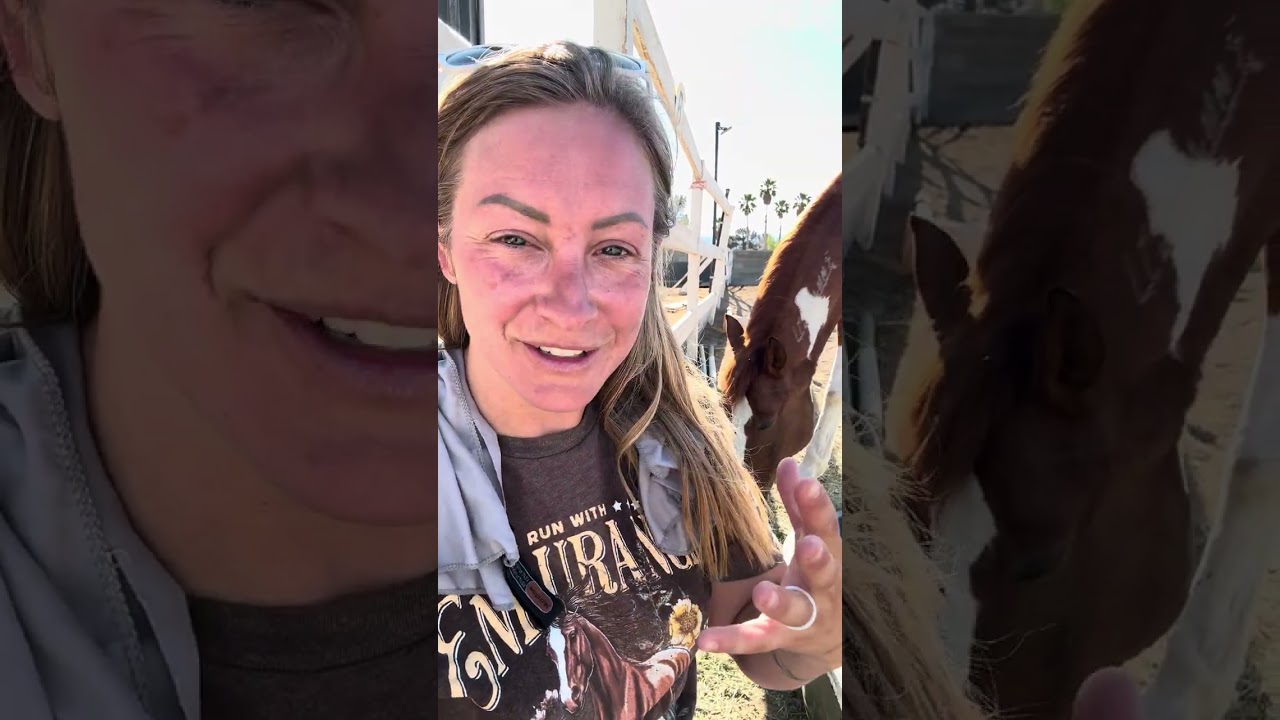 How Virtual Coaching Works