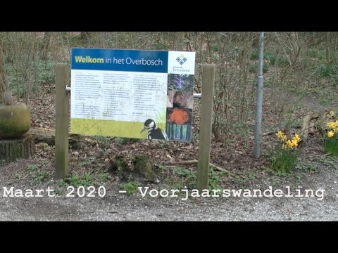 Overbosch voorjaar 2020