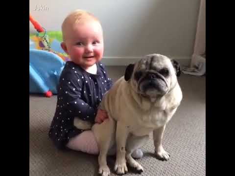 Cute Babies Playing With Dogs Compilation | Baby And Pets | playing with pets | Kids Tanvi Show |