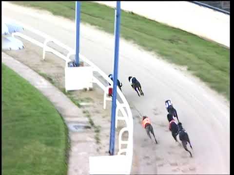 2017 WILLIAM HILL ST LEGER - HEAT 7 - T2 AIRMOUNT TESS