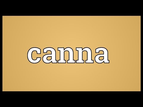 image-What dies canna mean?