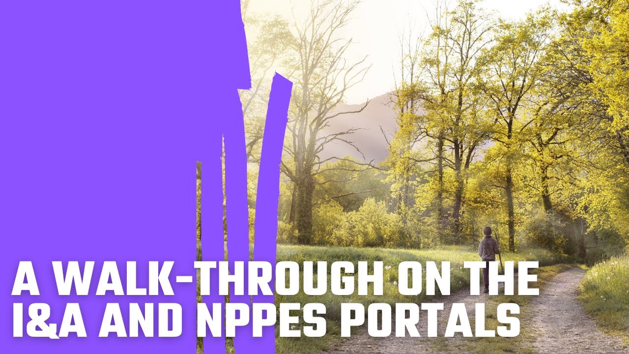 A Walk-Through On The I&A and NPPES Portals