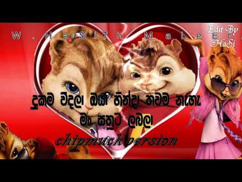 .Dukama-Vindala---chipmuck version SoNgs @ Music VideO